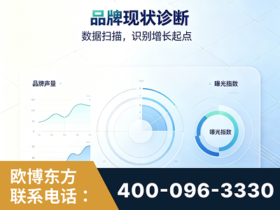 儋州-品牌现状诊断