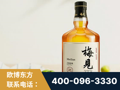 儋州-梅见青梅酒